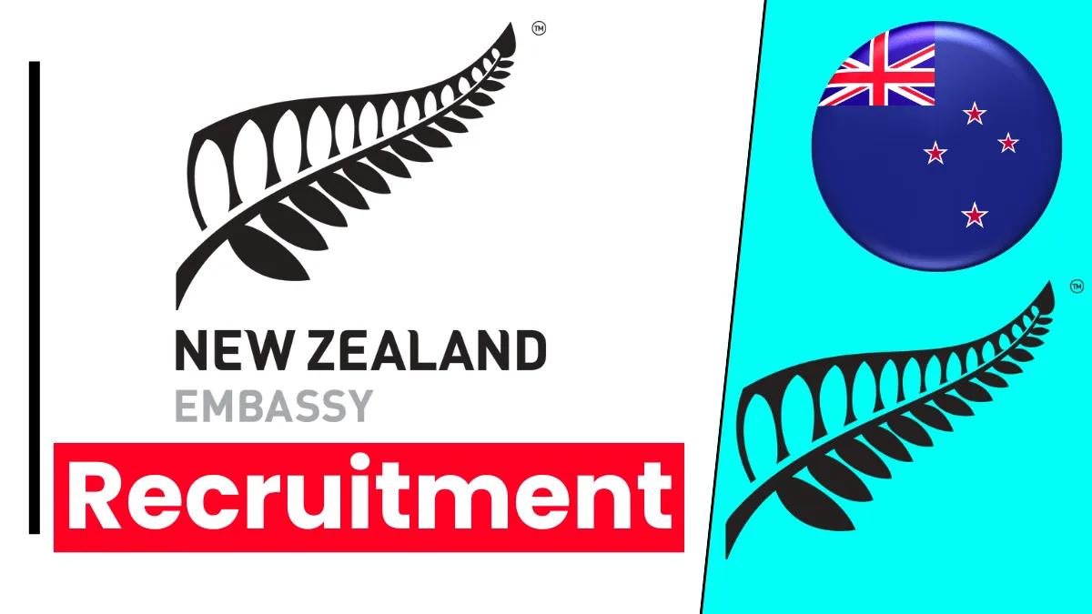 New Zealand Embassy Recruitment (December 2024): Find New Jobs, Application Process